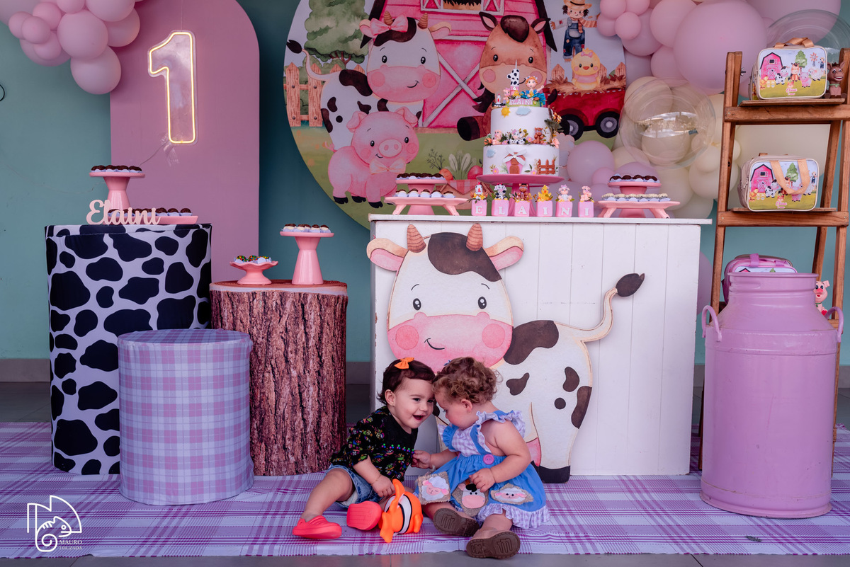 níver Elaini, aniversário infantil, 1 ano da Elaini, fotos do aniversário da Elaini, festa infantil, festa em família, festa no campo, mauro louzada fotografia, sua história minhas fotos, fotógrafo aracruz, fotógrafo de casamento, fotógrafo de família
