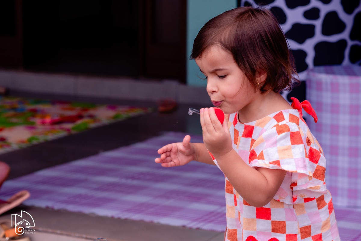 níver Elaini, aniversário infantil, 1 ano da Elaini, fotos do aniversário da Elaini, festa infantil, festa em família, festa no campo, mauro louzada fotografia, sua história minhas fotos, fotógrafo aracruz, fotógrafo de casamento, fotógrafo de família
