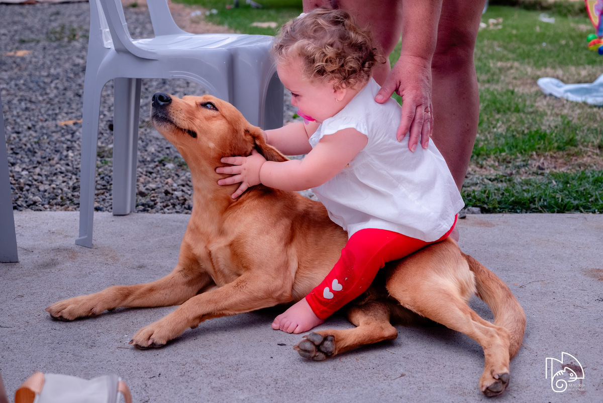 níver Elaini, aniversário infantil, 1 ano da Elaini, fotos do aniversário da Elaini, festa infantil, festa em família, festa no campo, mauro louzada fotografia, sua história minhas fotos, fotógrafo aracruz, fotógrafo de casamento, fotógrafo de família