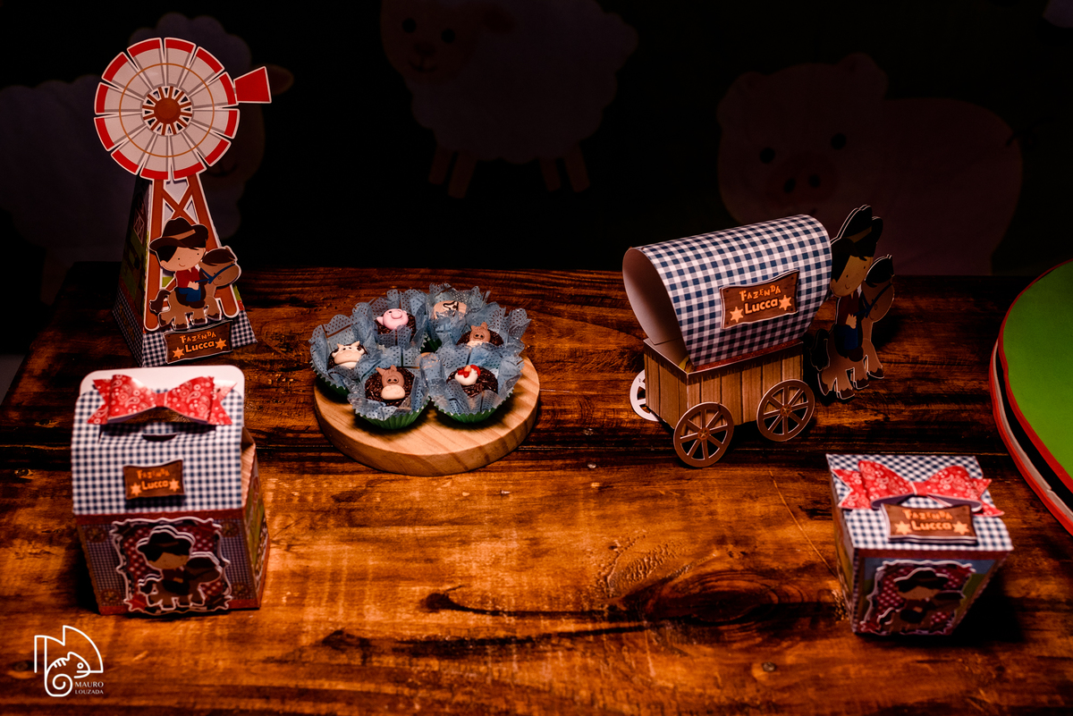 níver lucca, aniversário infantil, 1 aninho do lucca, fotos do aniversário do lucca, festinha infantil, festa em família, mauro louzada fotografia, sua história minhas fotos, fotógrafo aracruz, fotógrafo de casamento, fotógrafo de família, níver aracruz