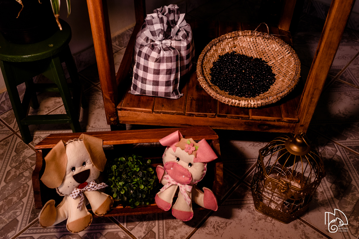 níver lucca, aniversário infantil, 1 aninho do lucca, fotos do aniversário do lucca, festinha infantil, festa em família, mauro louzada fotografia, sua história minhas fotos, fotógrafo aracruz, fotógrafo de casamento, fotógrafo de família, níver aracruz