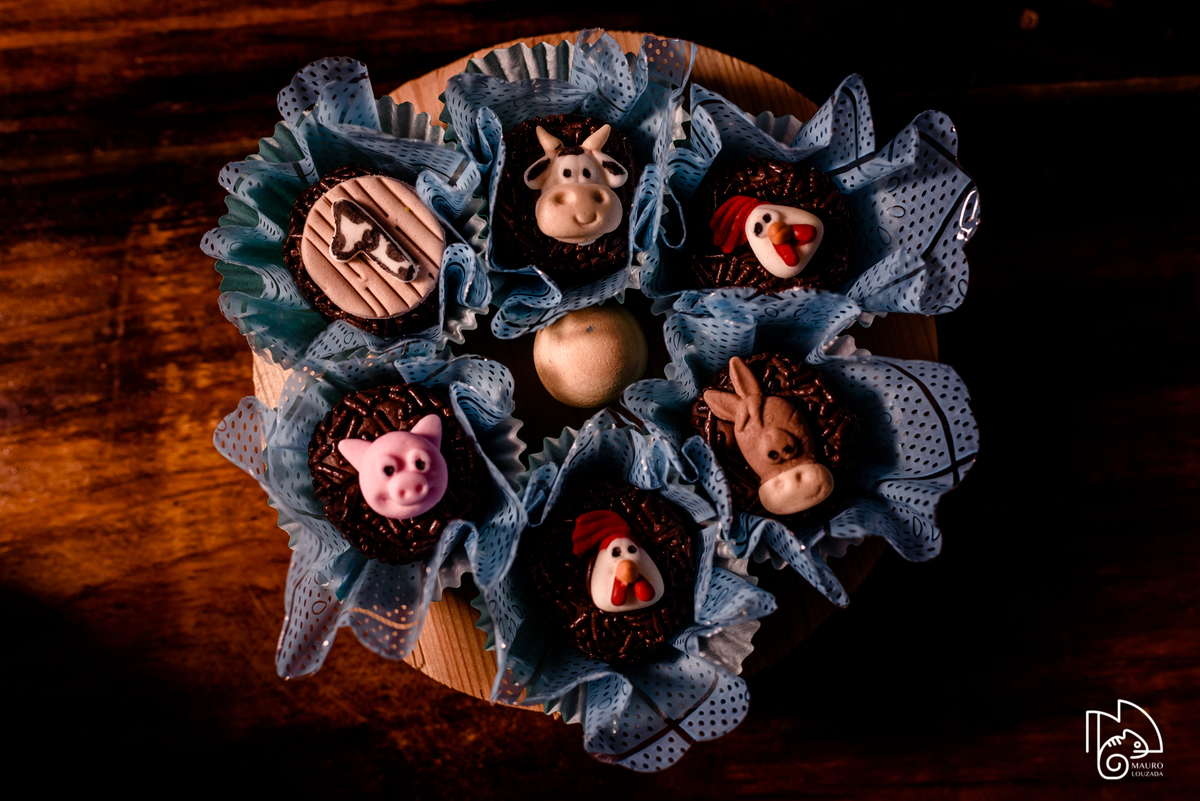 níver lucca, aniversário infantil, 1 aninho do lucca, fotos do aniversário do lucca, festinha infantil, festa em família, mauro louzada fotografia, sua história minhas fotos, fotógrafo aracruz, fotógrafo de casamento, fotógrafo de família, níver aracruz