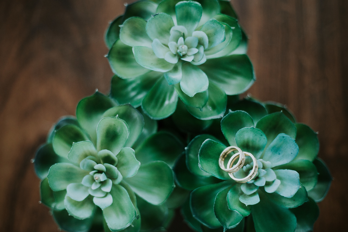 Casamento - Maresias - São Paulo 