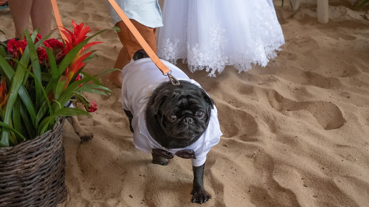 Casamento Praia Maresias 
Casamento LGBT