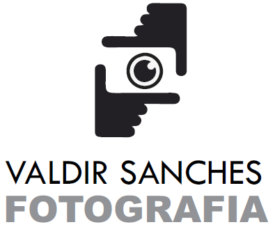 Logotipo de valdir sanches
