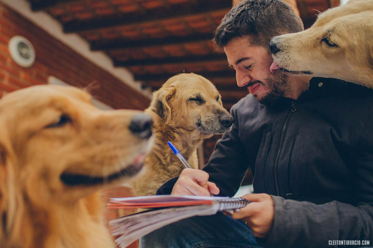 Casamentos 1º Semestre de 2014