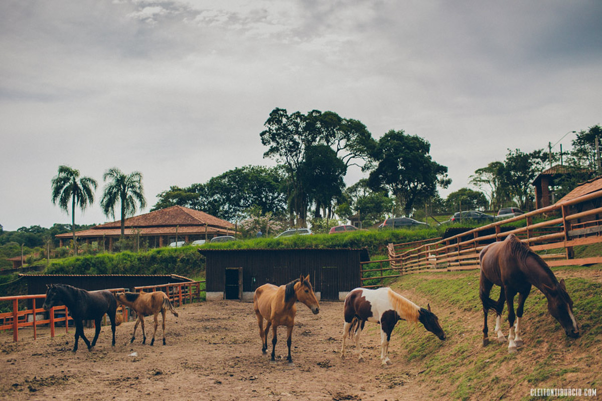 Nathália e Mário | Fotografia de Casamento