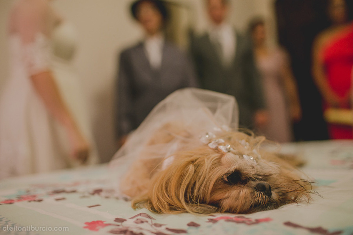 mini-wedding-em-casa-daueba-e-rodrigo15