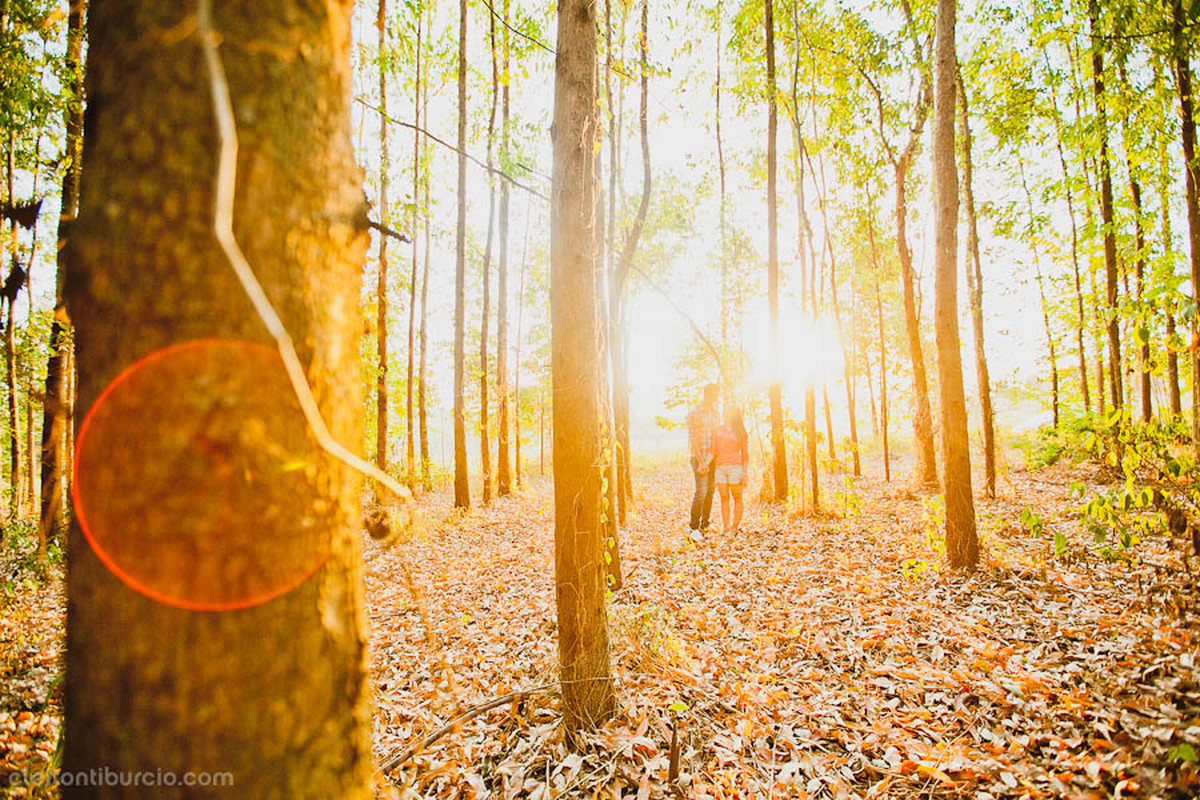 E-session | Camila e William | Holambra – SP