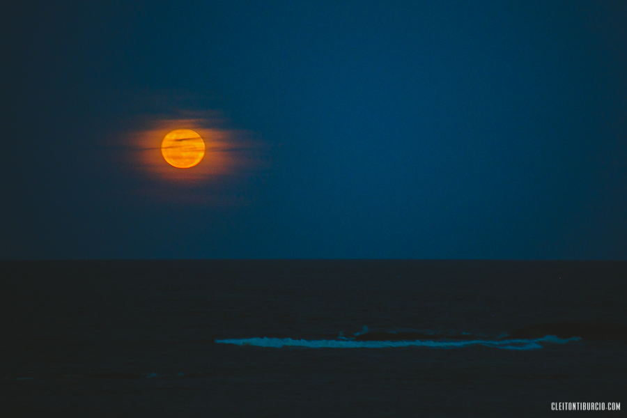 destination wedding punta del este, casamento punta del este, casamento bahia vikl casamento playa vik casamento na praia, fotografo de casamento sp, fotografo punta del este, casar em punta del