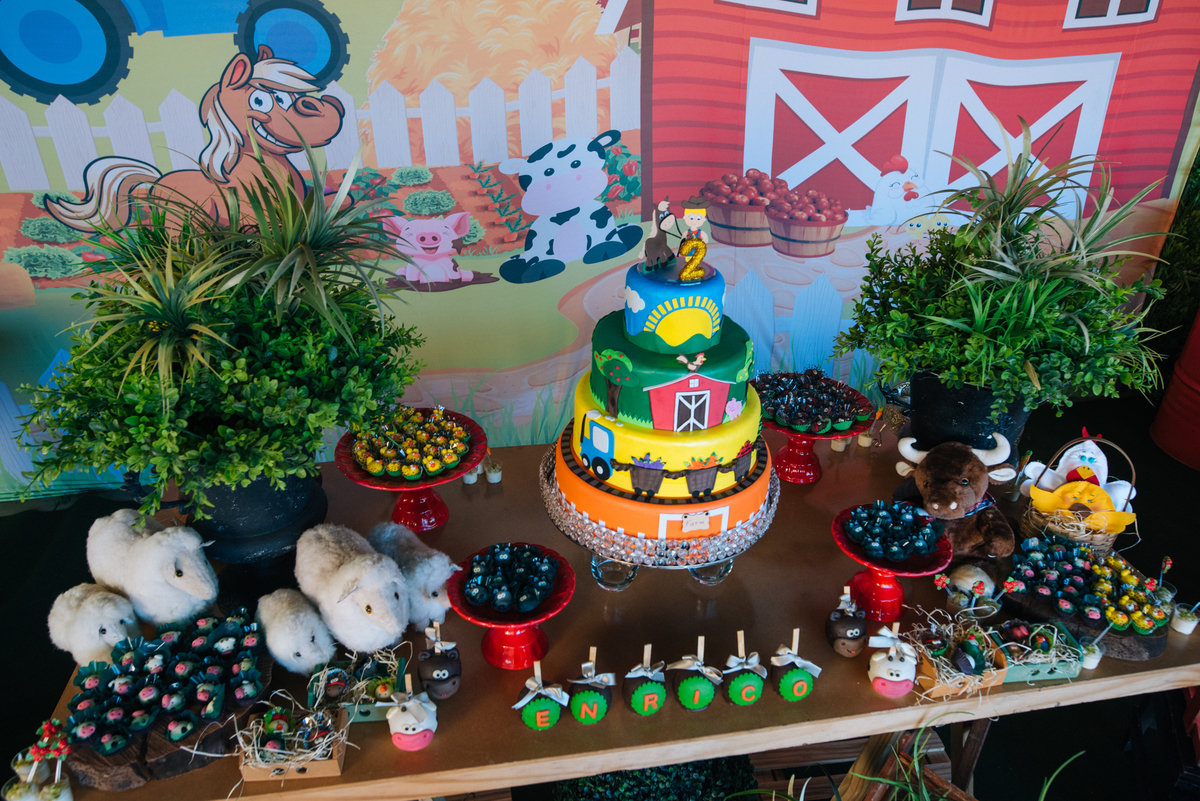 festa infantil tema fazenda, enrico 2 anos, Porecatu-PR, Londrina PR, festa de menino