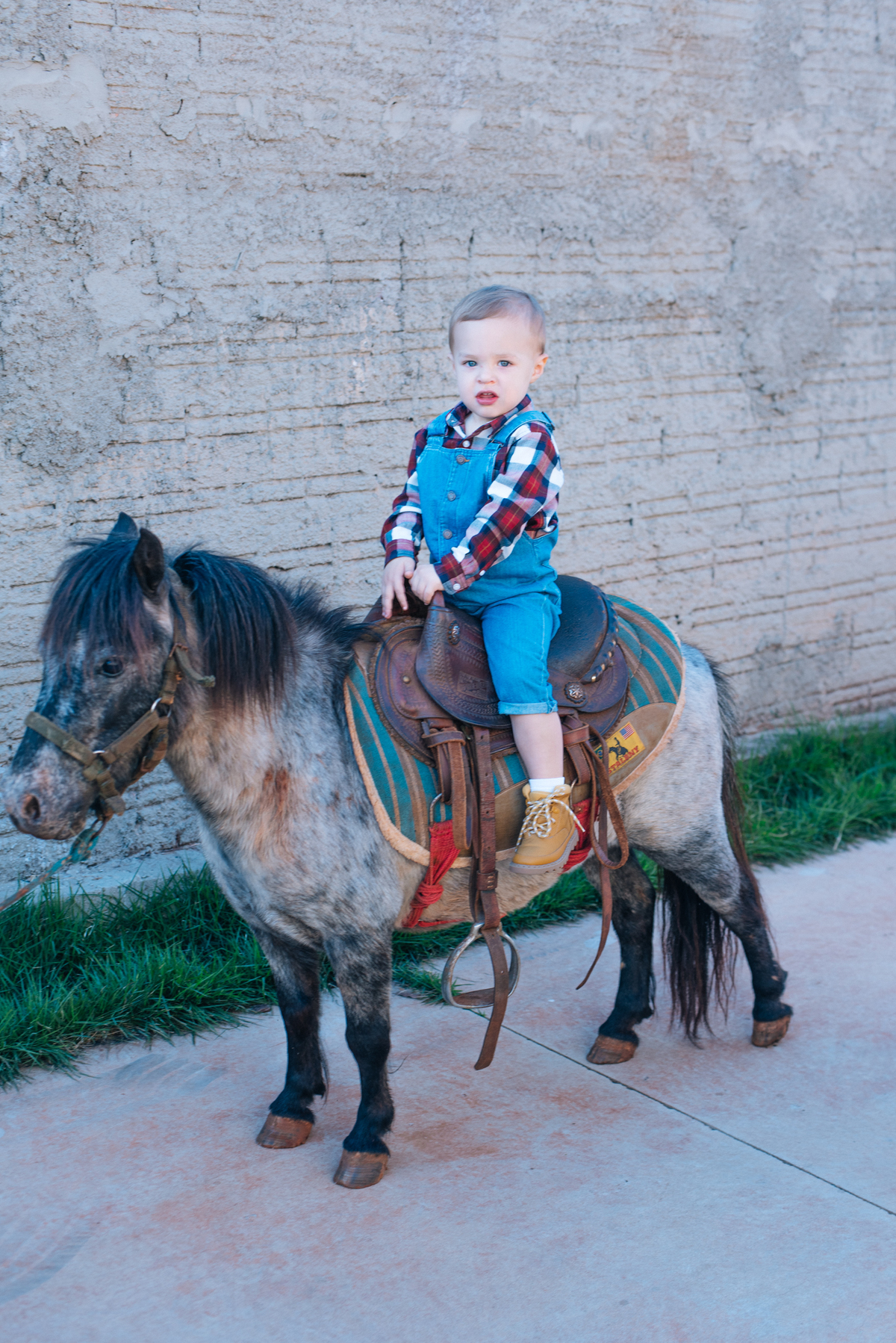 festa infantil tema fazenda, enrico 2 anos, Porecatu-PR, Londrina PR, festa de menino