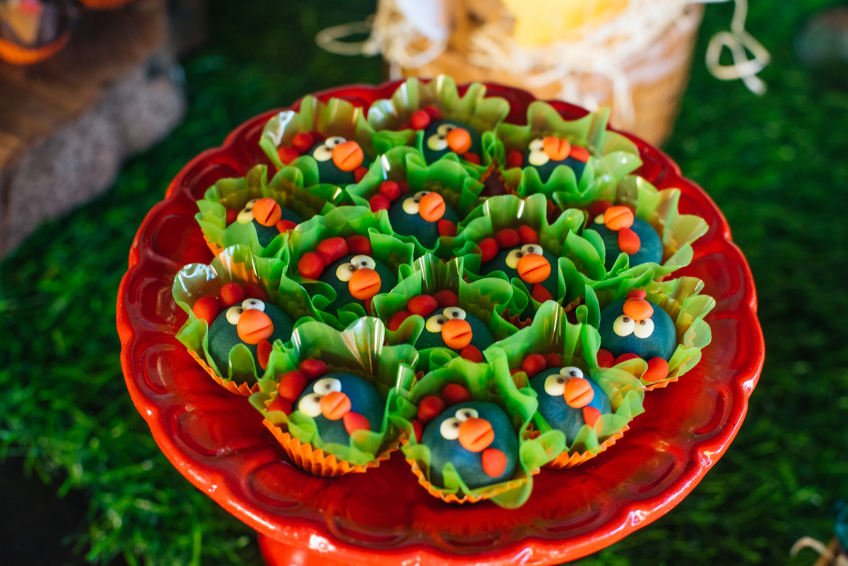 festa infantil tema fazenda, enrico 2 anos, Porecatu-PR, Londrina PR, festa de menino