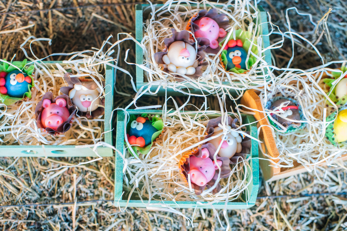 festa infantil tema fazenda, enrico 2 anos, Porecatu-PR, Londrina PR, festa de menino