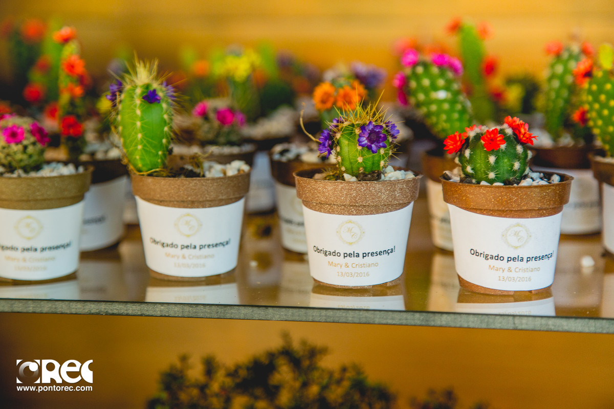 agenda de noiva, vestido da noiva, buque de noiva, makeup, making of, casamento campo grande ms, fotografia de casamento campo grande ms, estancia das orquidias, casamento de dia