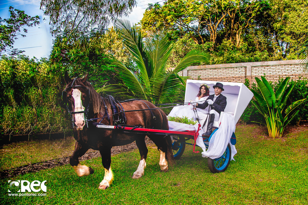 agenda de noiva, vestido da noiva, buque de noiva, makeup, making of, casamento campo grande ms, fotografia de casamento campo grande ms, estancia das orquidias, casamento de dia