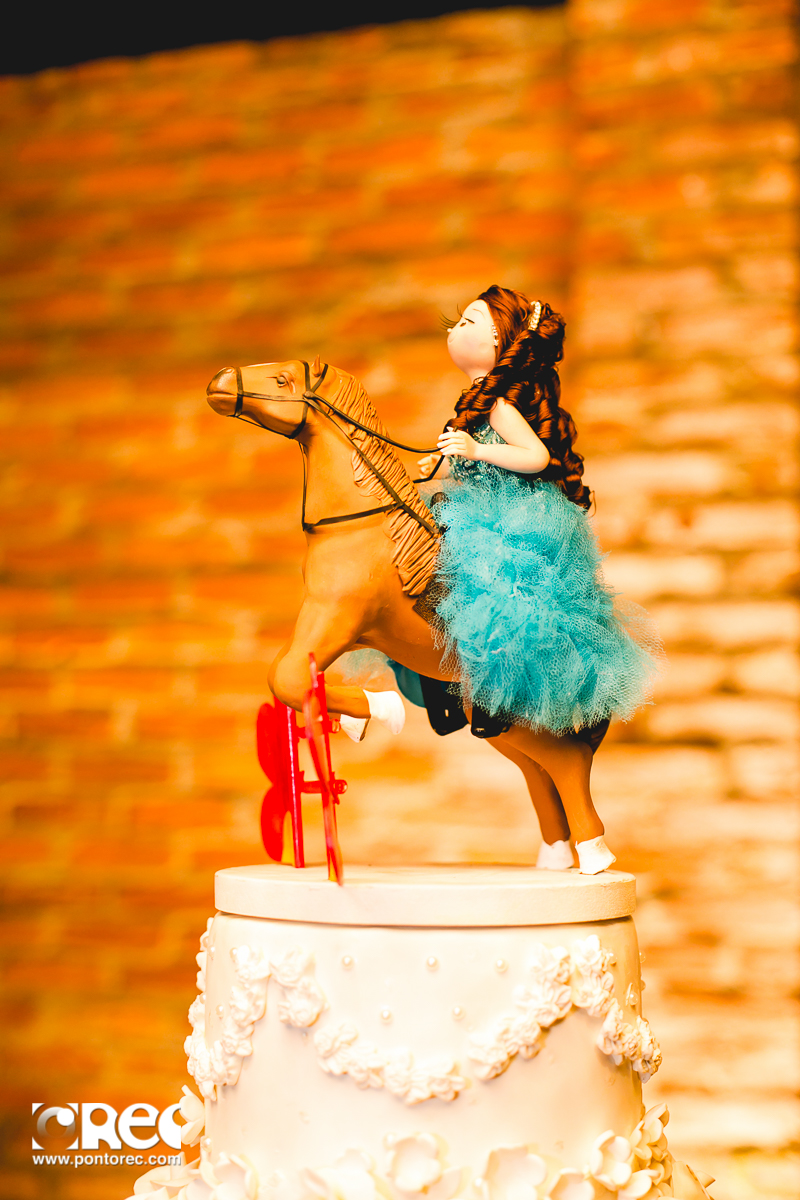 15 anos, festa de 15 anos, campo grande, fotografo campo grande, fotografia de casamento, pontorec, ponto rec producoes, fotografia campo grande ms, decoracao, romeu e julieta campo grande,