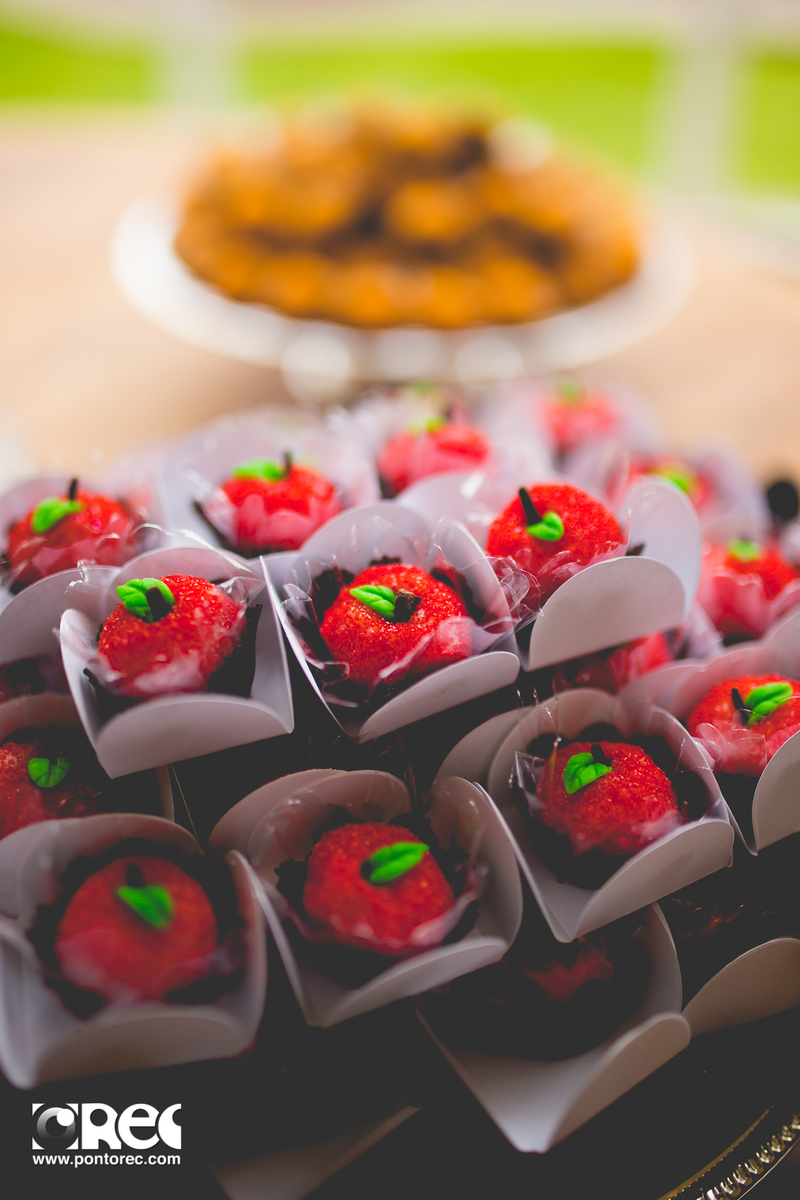 decoracao casamento, casamento, fotografia de casamento, fotografo de casamento, fotografia de casamento campo grande ms, fotografo de casamento campo grande ms, fotografia de casamento, decoracao, vestido de noiva, bride, sapato de noiva, doces para casa