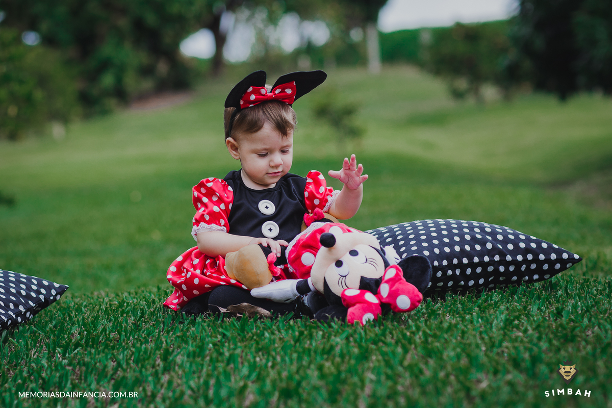 ensaio temátio minnie minei mini mickey mouse disney festa de aniversário smash in the cake