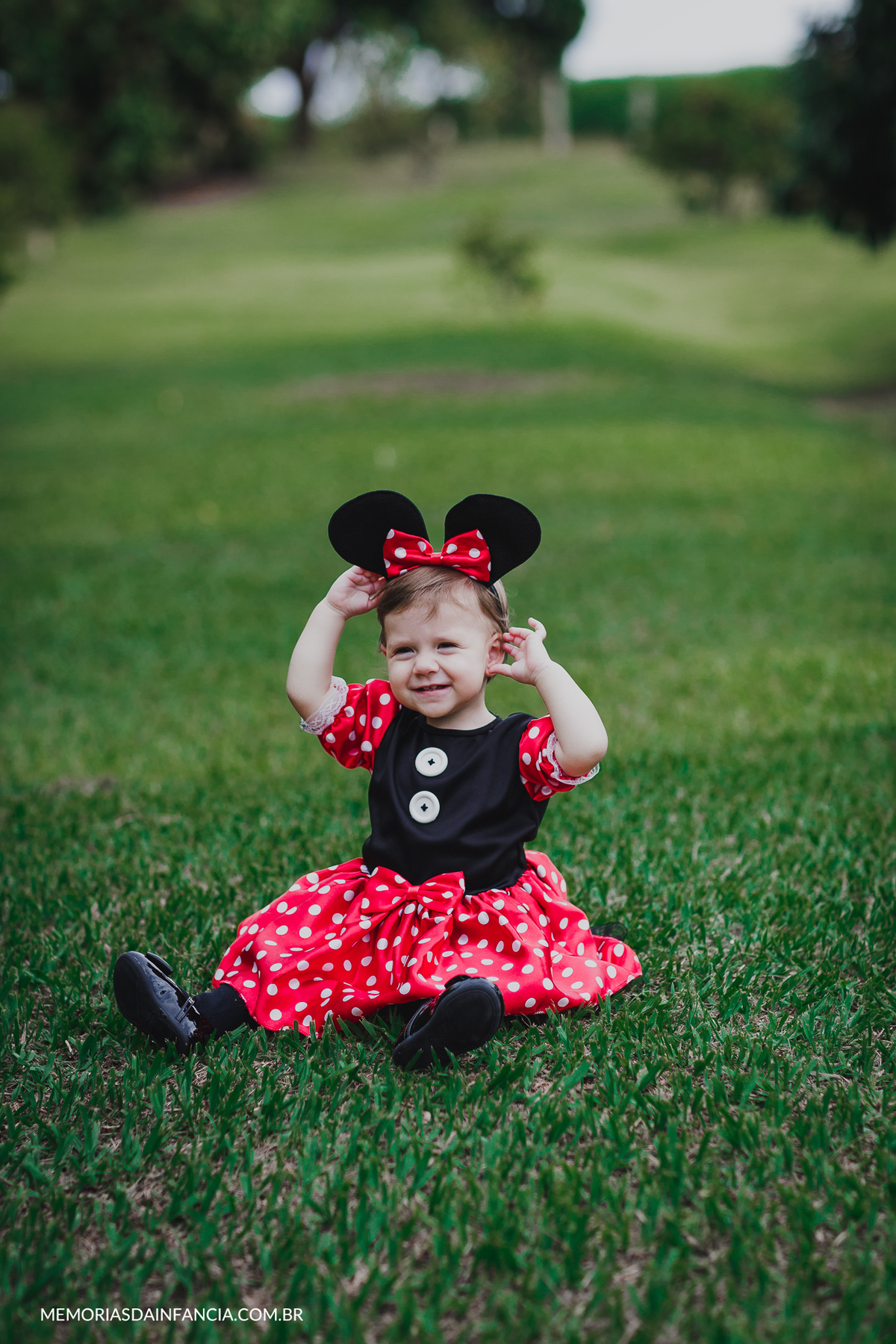 ensaio temátio minnie minei mini mickey mouse disney festa de aniversário smash in the cake