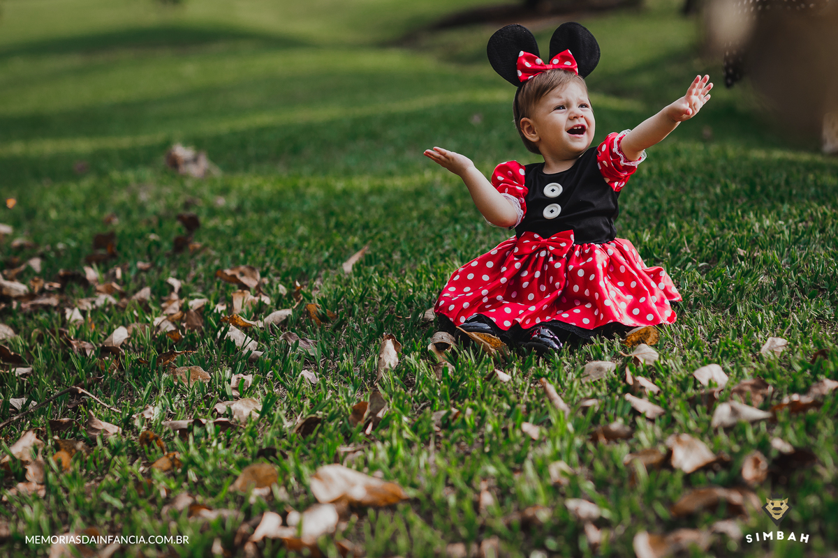 ensaio temátio minnie minei mini mickey mouse disney festa de aniversário smash in the cake