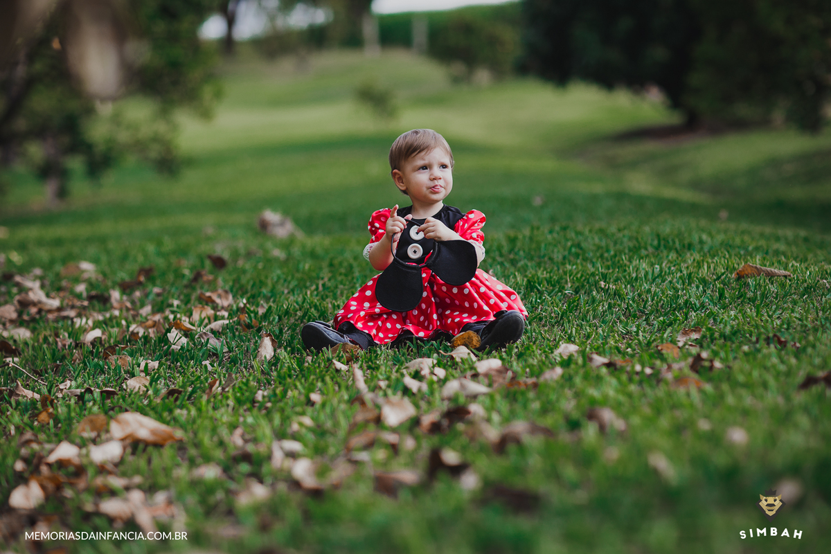 ensaio temátio minnie minei mini mickey mouse disney festa de aniversário smash in the cake