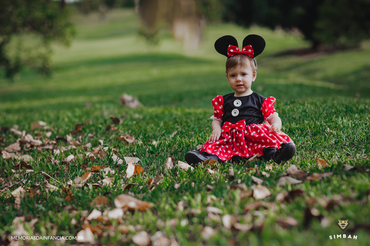 ensaio temátio minnie minei mini mickey mouse disney festa de aniversário smash in the cake