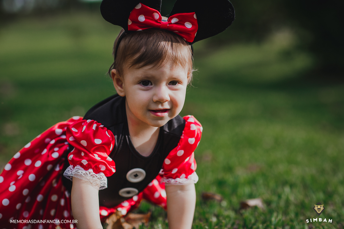 ensaio temátio minnie minei mini mickey mouse disney festa de aniversário smash in the cake