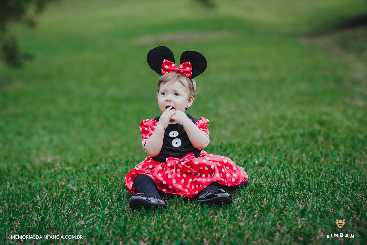 ensaio temátio minnie minei mini mickey mouse disney festa de aniversário smash in the cake