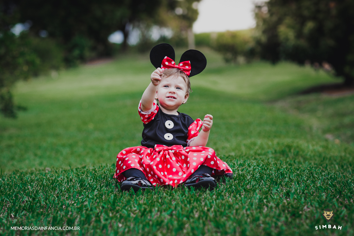 ensaio temátio minnie minei mini mickey mouse disney festa de aniversário smash in the cake