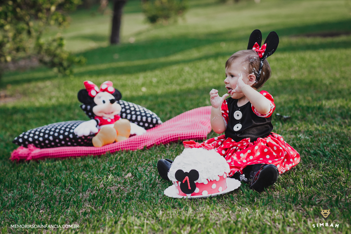 ensaio temátio minnie minei mini mickey mouse disney festa de aniversário smash in the cake