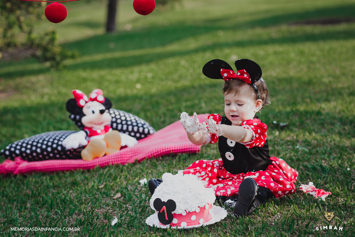 ensaio temátio minnie minei mini mickey mouse disney festa de aniversário smash in the cake