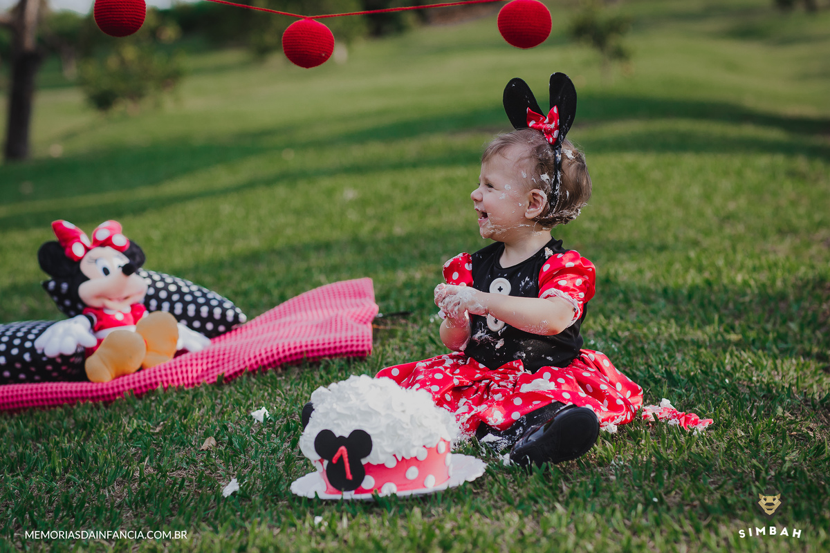 ensaio temátio minnie minei mini mickey mouse disney festa de aniversário smash in the cake