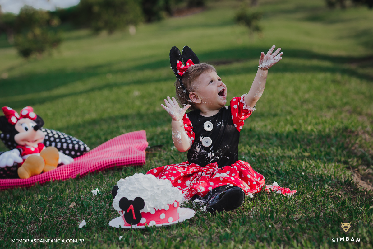ensaio temátio minnie minei mini mickey mouse disney festa de aniversário smash in the cake