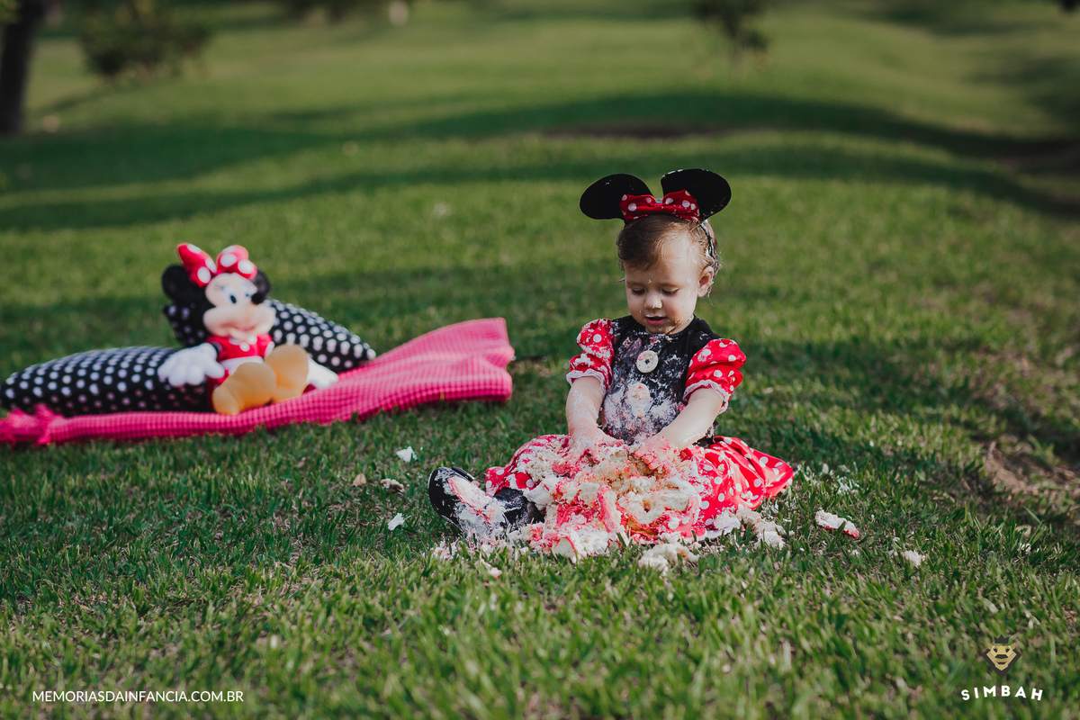 ensaio temátio minnie minei mini mickey mouse disney festa de aniversário smash in the cake