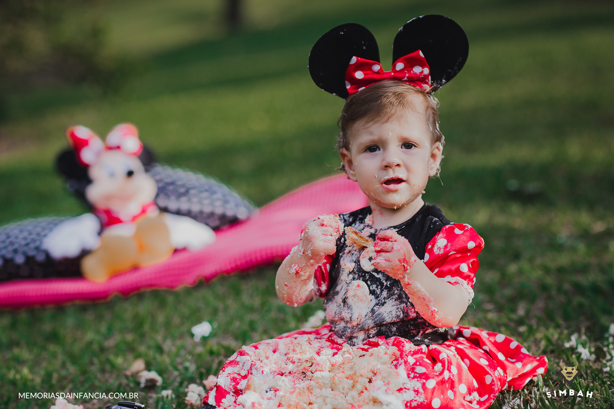 ensaio temátio minnie minei mini mickey mouse disney festa de aniversário smash in the cake