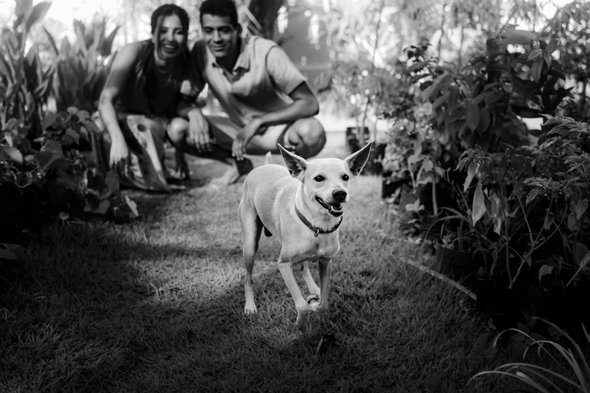 Ensaio de casal em natal rn, ensaio de casal em parnamirim rn, ensaio de casal na praia de cotovelo rn, ensaio de casal com cachorro, ensaio de casal com pet, ensaio de casal com tartaruga, ensaio de casal na praia, ensaio de casal em casa