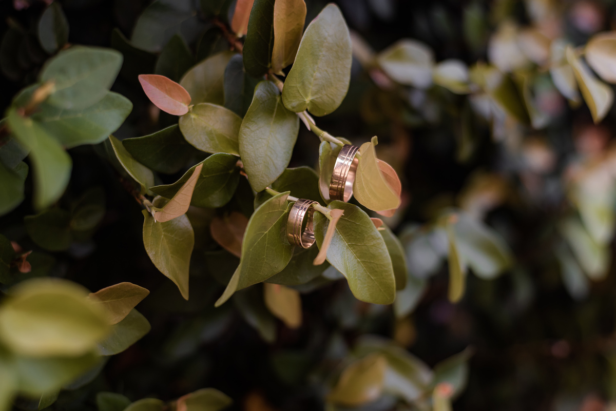 aliança de casamento, foto da aliança