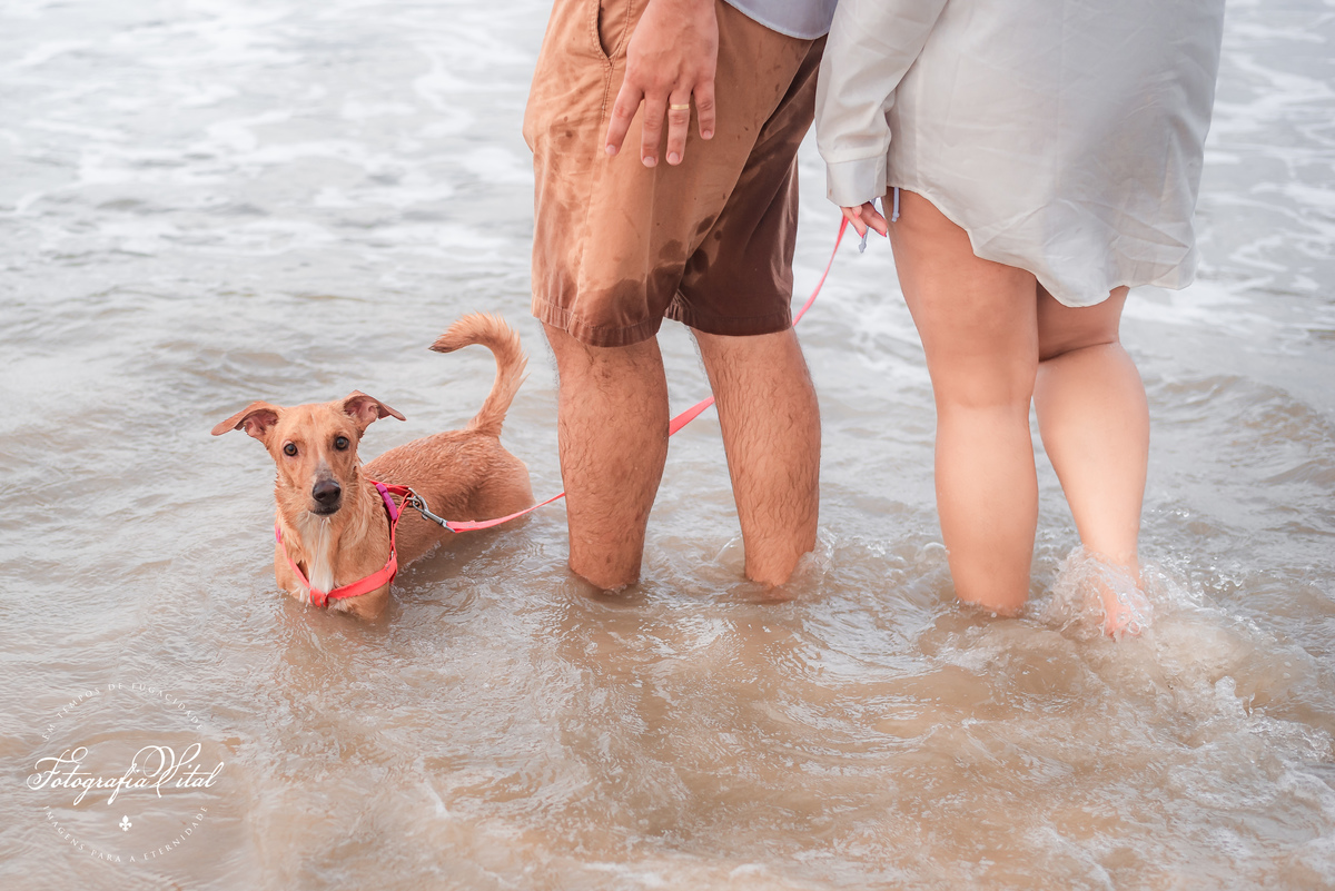 Fotógrafo em Natal, Fotógrafo de Casamento, Ensaio de Casal na Praia, Ensaio de Casal com Pet, Ensaio de Casal na Praia de Cotovelo, Natal - RN