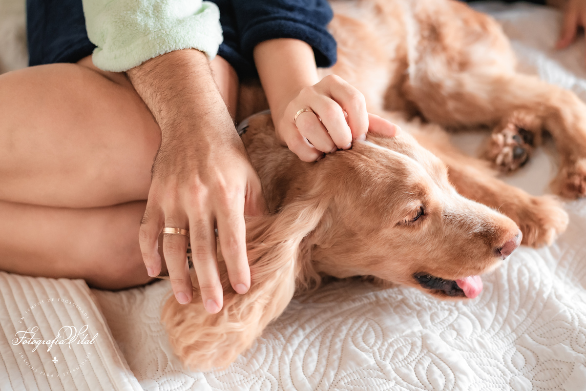 Ensaio de casal, pré-wedding, ensaio pré-casamento, pôr-do-sol, fim de tarde, hora dourada, golden hour, Fotógrafo em Natal, fotografia vital, Lagoa View - Tibau do Sul - Rio Grande do Norte, ensaio com cachorro, pet
