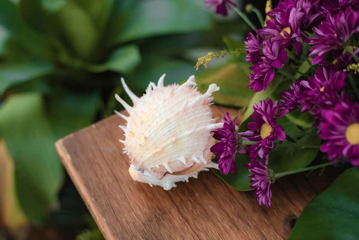 fotografo em natal, fotografia de casamento, por amor, casamento na praia, casamento pé na areia, fotografia vital, natal, rn , brasil