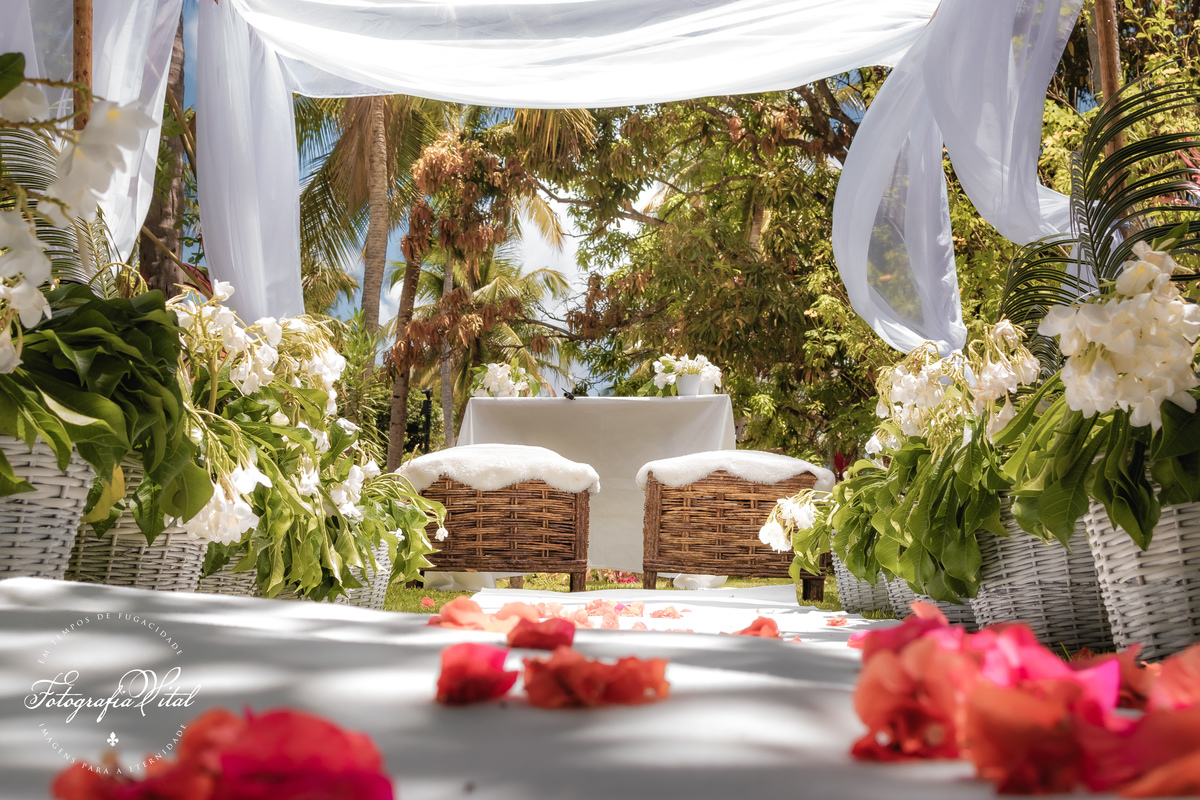 casamento_microwedding_shuibrasil_pureza_riograndedonorte_campo_arlivre_álbum_de_casamento _Álbum fora da box. Na capa vemos uma foto do casal na saída do casamento. Eles sorriem entre as pétalas de rosas jogadas pelos convidados.