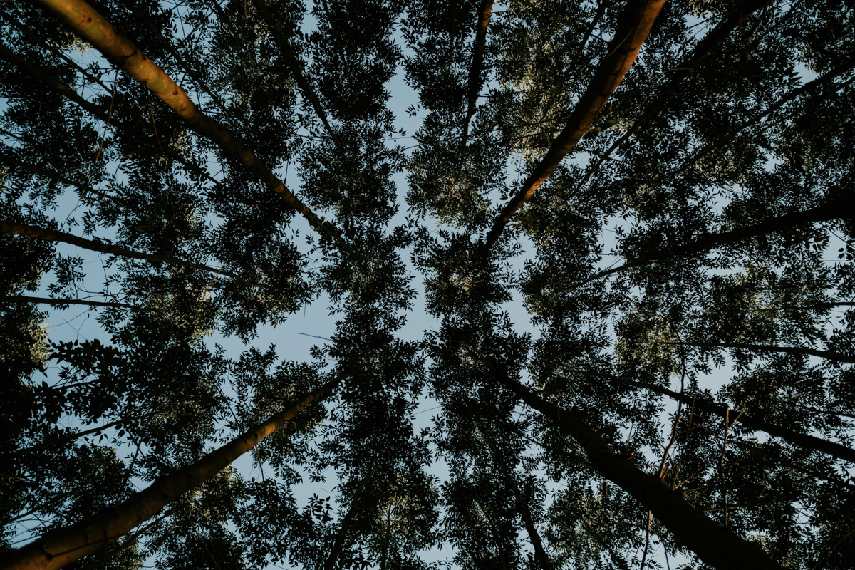 Ensaio pré casamento, ensaio externo, foto de casais, ensaio de casais, fotografo mogi guaçu, fotografo campinas, fotografo interior de sao paulo, rafael serra, rafael serra fotografo, rafael serra fotografia e cinema