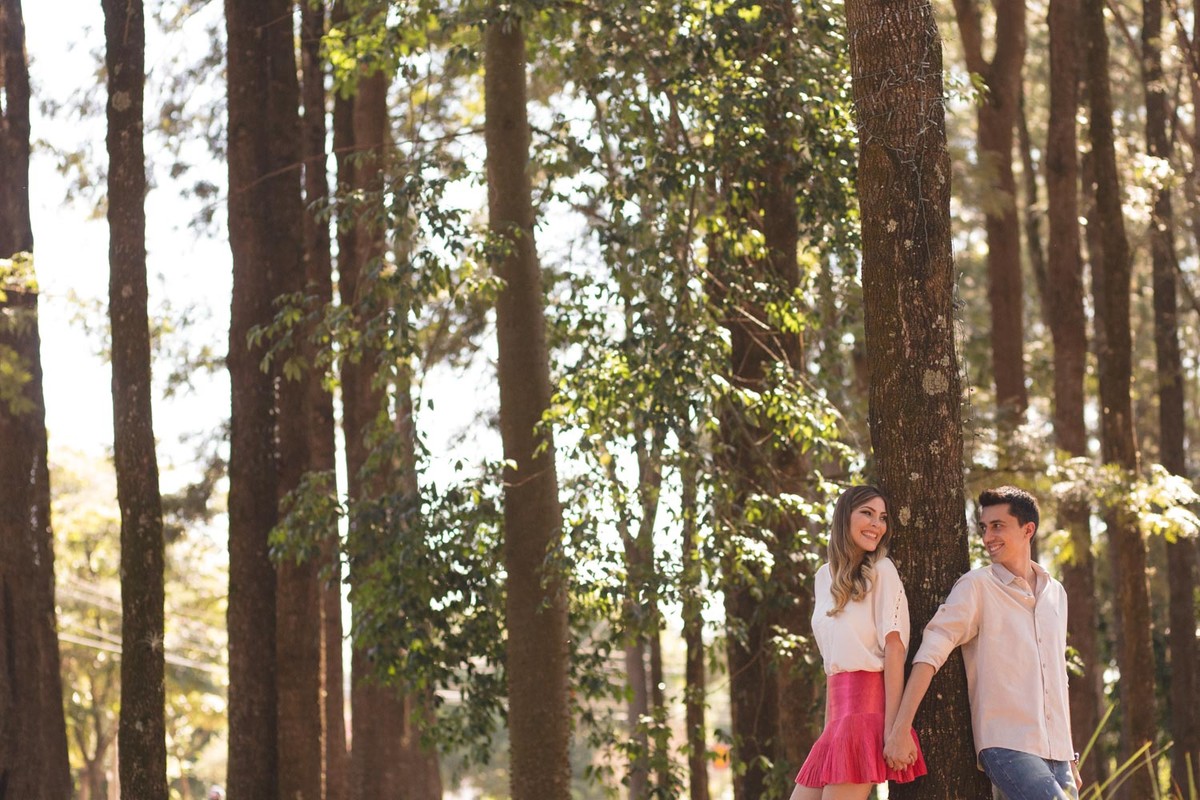 ensaio pre casamento, casal holambra, ensaio holambra, fotografo de casamento, e-session