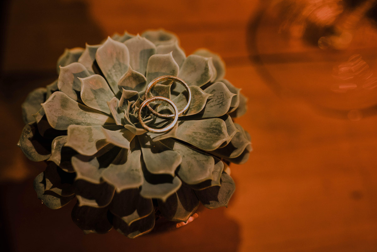 Casamento de Lucas e carol, espaço floriada holambra, making of dos noivos no hotel first look view casamento alternativo, estilo rustico, estilo industrial, fotografo de casamentos em mogi guaçu e região de campinas, rafael serra fotografia e cinema
