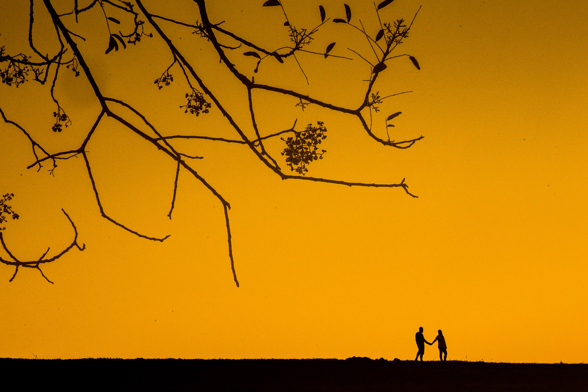 silhueta por do sol casal de mãos dadas galhos entrando na foto para composição