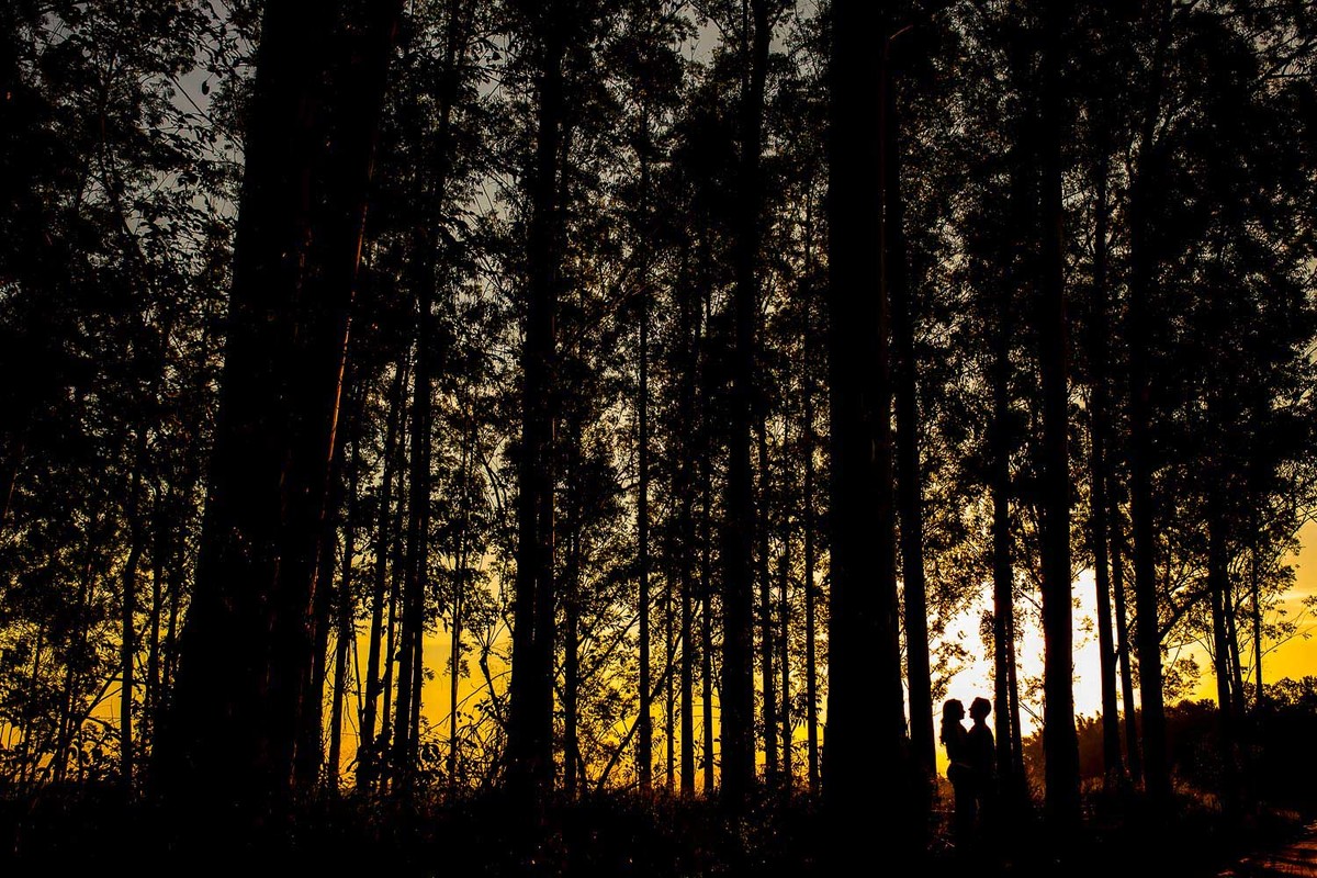 Silhueta entre as arvores, foto de por do sol