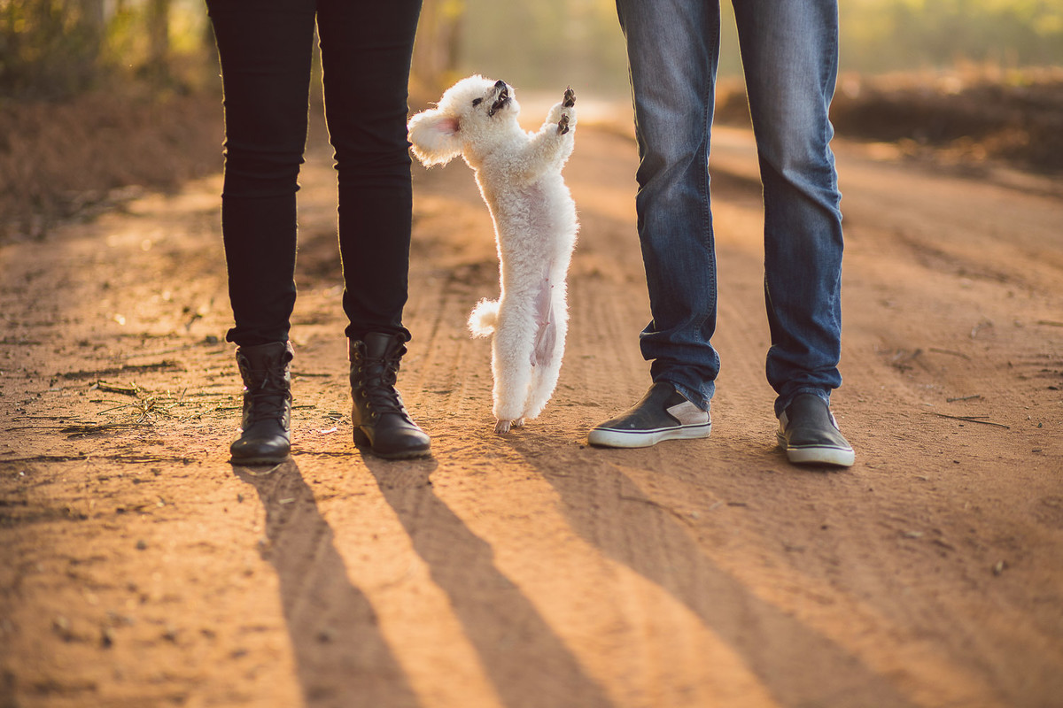 ensaio de casal com a presença do cachorro