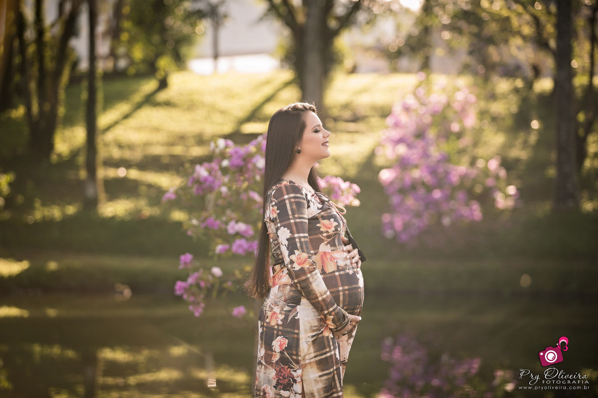 Gestante nova veneza - SC