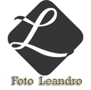 Logotipo de leandro horing